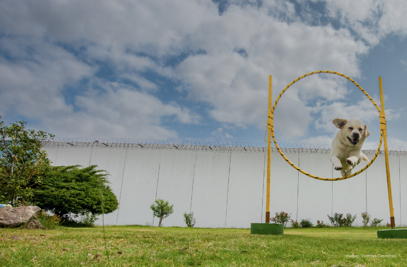LA FUNDACIÓN BARRIÉ PRESENTA DOS NUEVOS CONVENIOS CON INSTITUCIONES PENITENCIARIAS