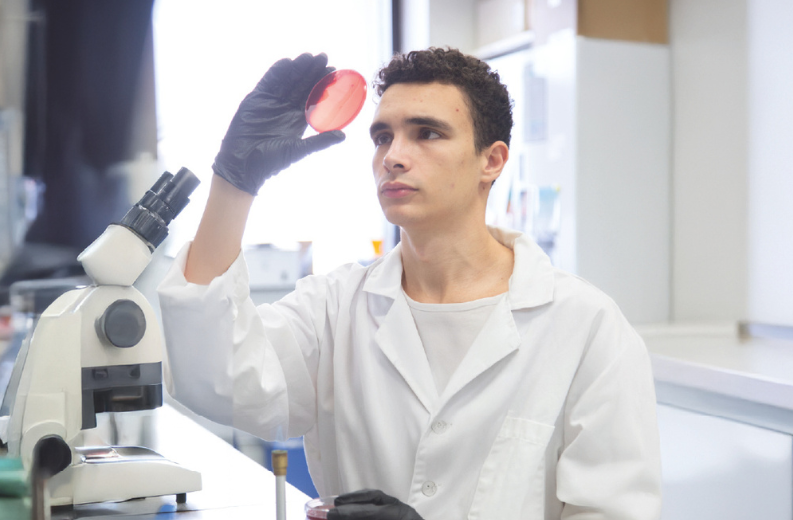 Summer Undergraduate Fellowship Program 2026