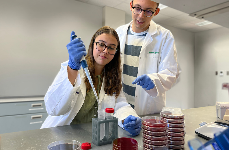 Summer Undergraduate Fellowship Program 2026